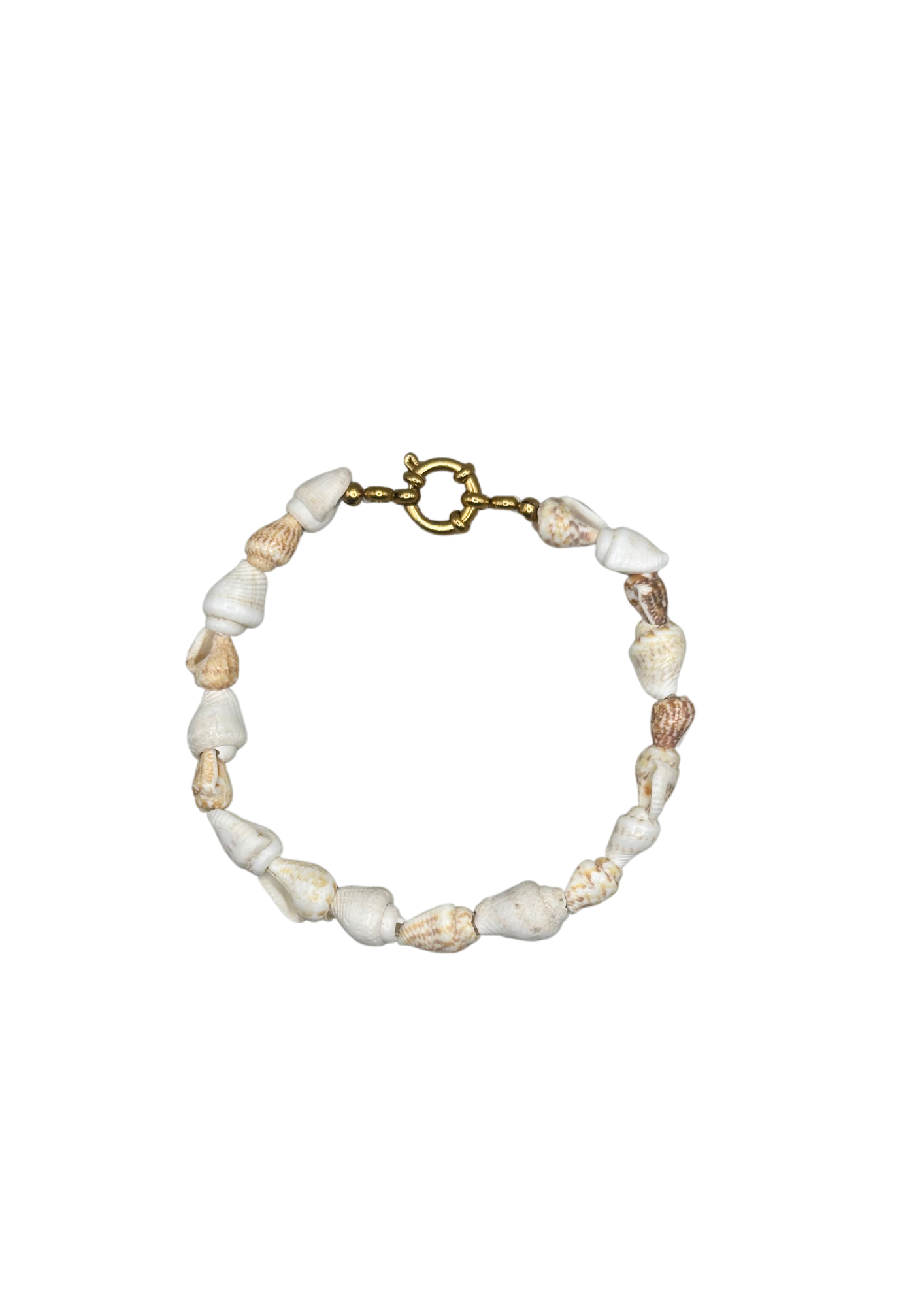 Shell Bracelet