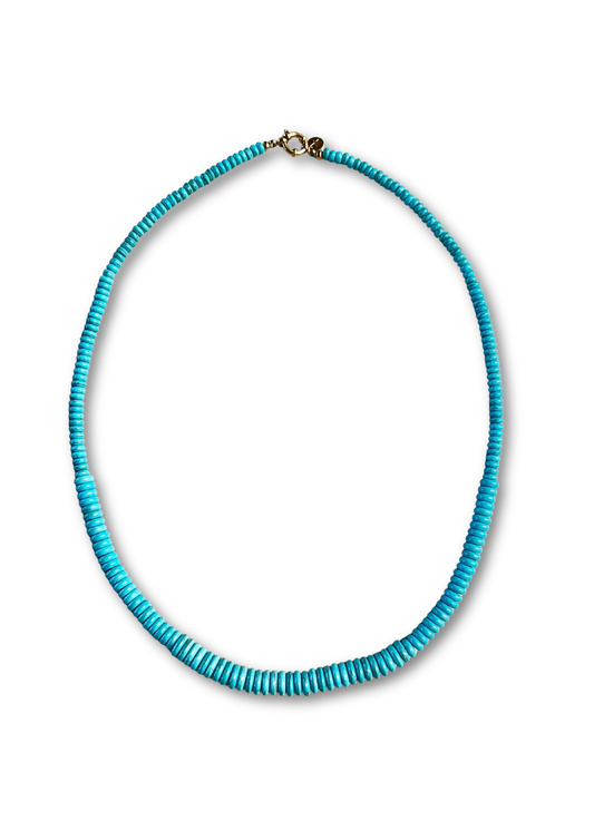 Turquoise Long Necklace