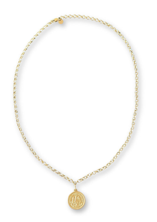 Coin Long Necklace