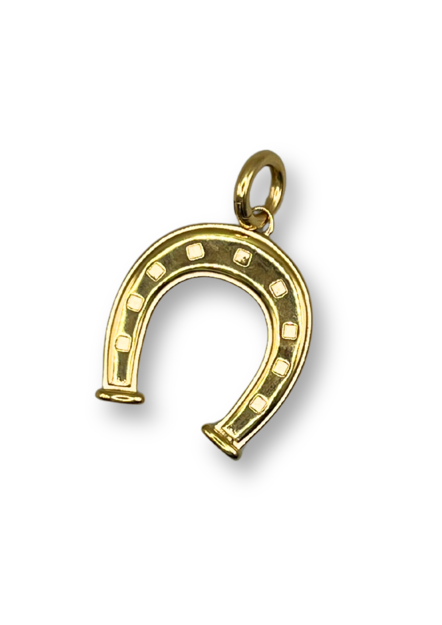 Horseshoe Pendant