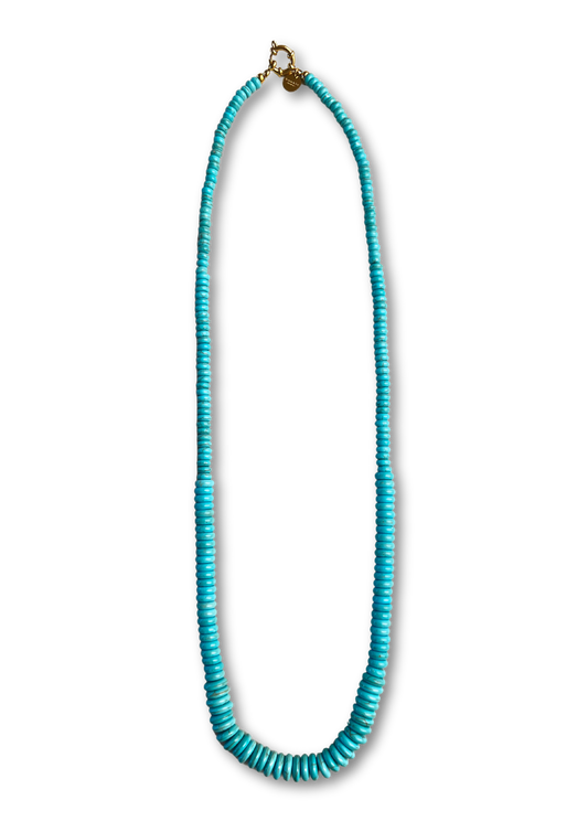 Turquoise Long Necklace