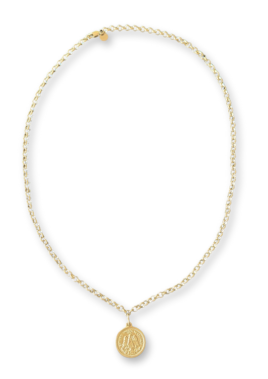 Lange Munt Ketting 