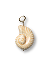 Beige Schelp Grote Bedel
