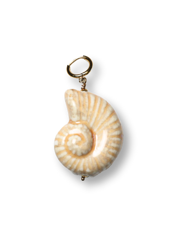Beige Schelp Grote Bedel