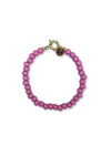 Tijger Schelp Armband